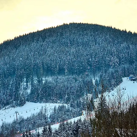 Snowmountain - By Alpen 아파트 젤암제