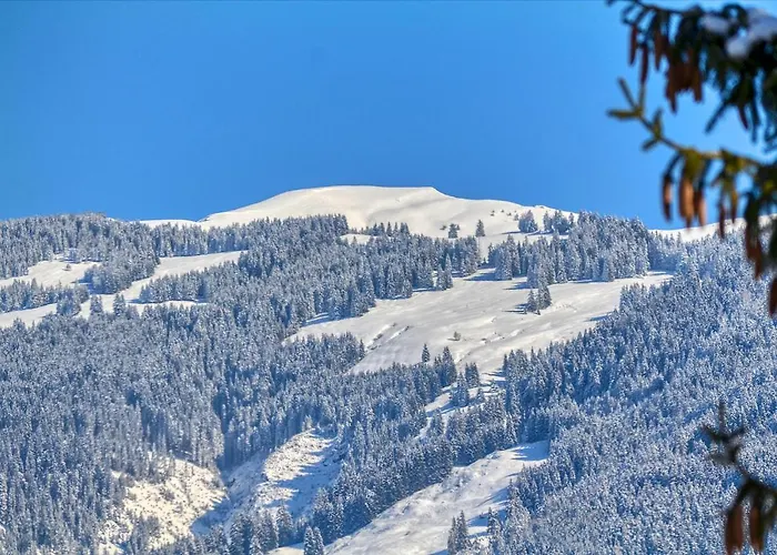 Snowmountain - By Alpen アパート *